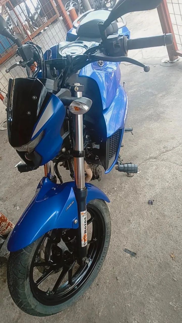 Fezer 250 Ano:2023 - Foto 3