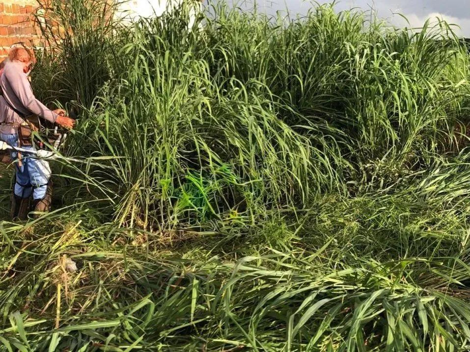 ATENÇÃO  OPORTUNIDADE DE VERDADE LOTE - Foto 5