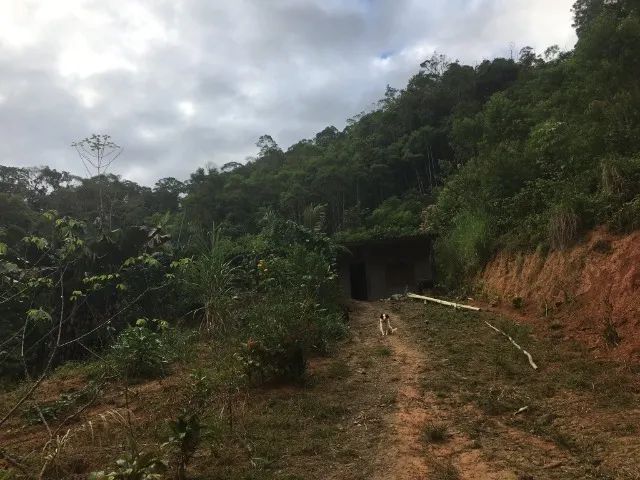 VENDO SÍTIO COM CASA - 9.000m² - Foto 4