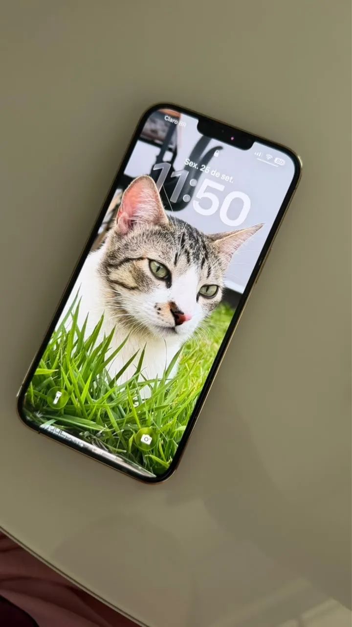 iPhone 13 Pro Max 256gb