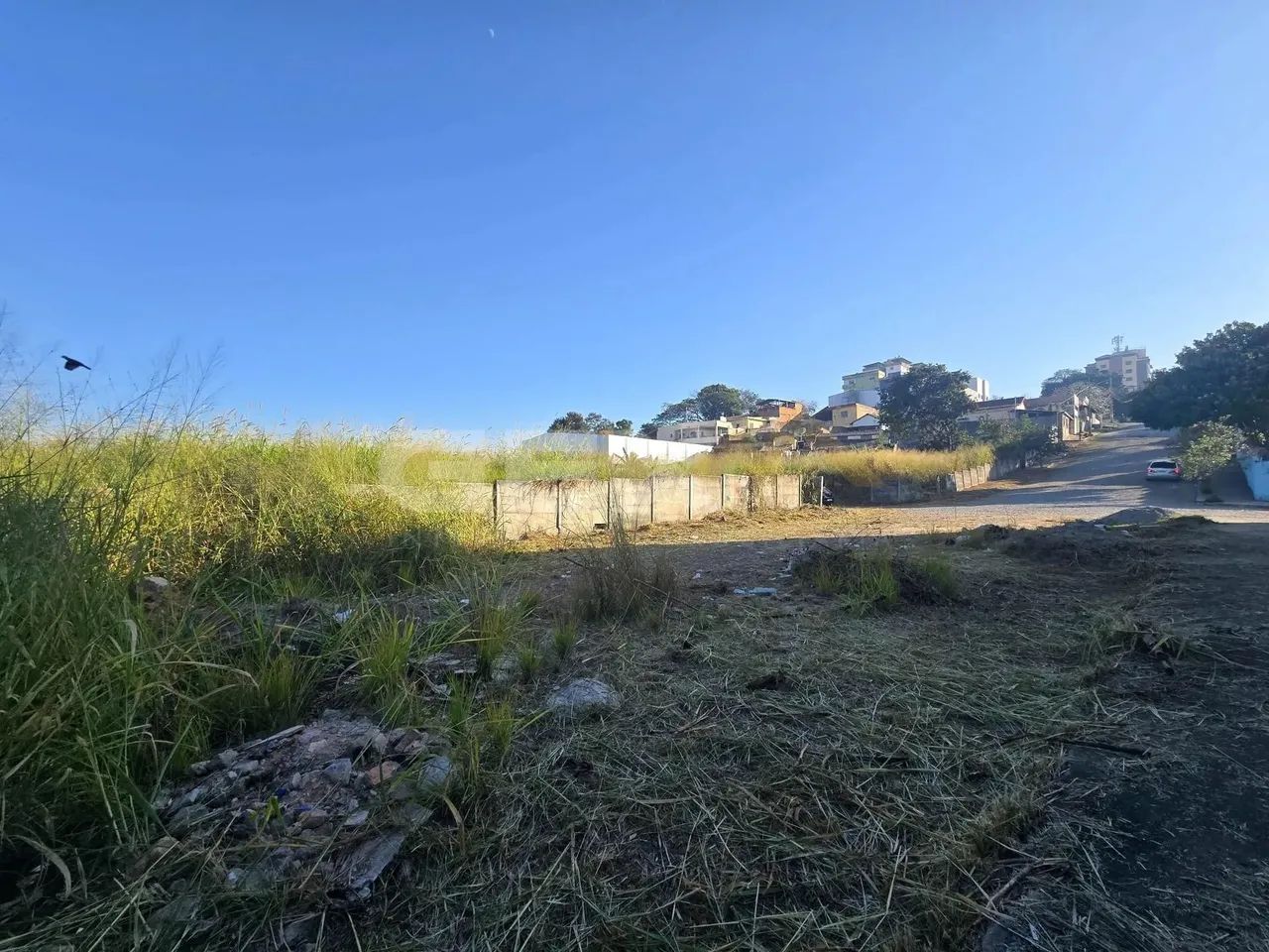 Lote à venda no bairro Ipiranga com 288 m². - Foto 3