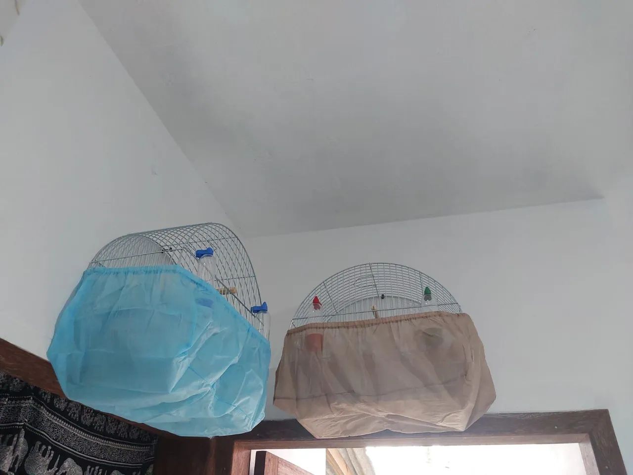 Gaiolas