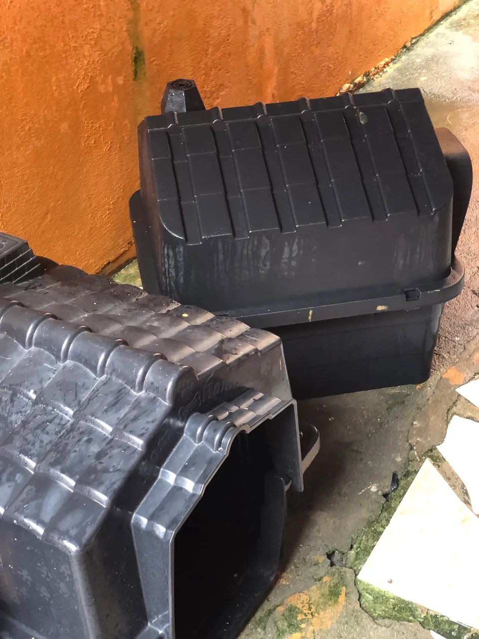 Casinhas NOVAS para cachorro!!