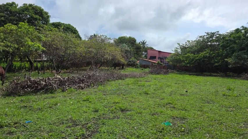 Terreno no centro de Santo Amaro, 2578 metros. - Foto 2