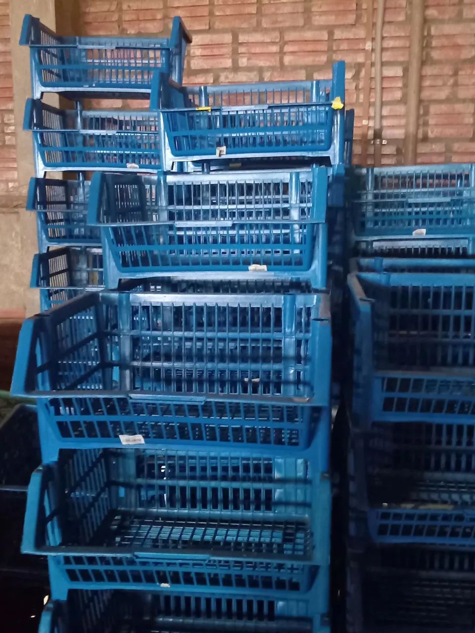 Cesta otimização   - Foto 2