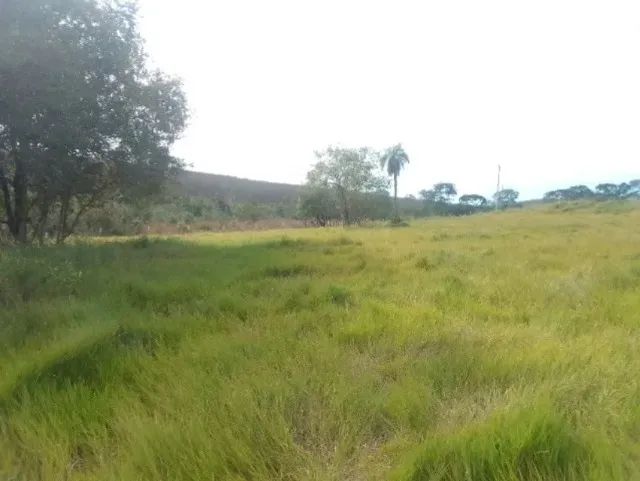 Sítio à Venda - 2,8 Alqueires - Foto 3