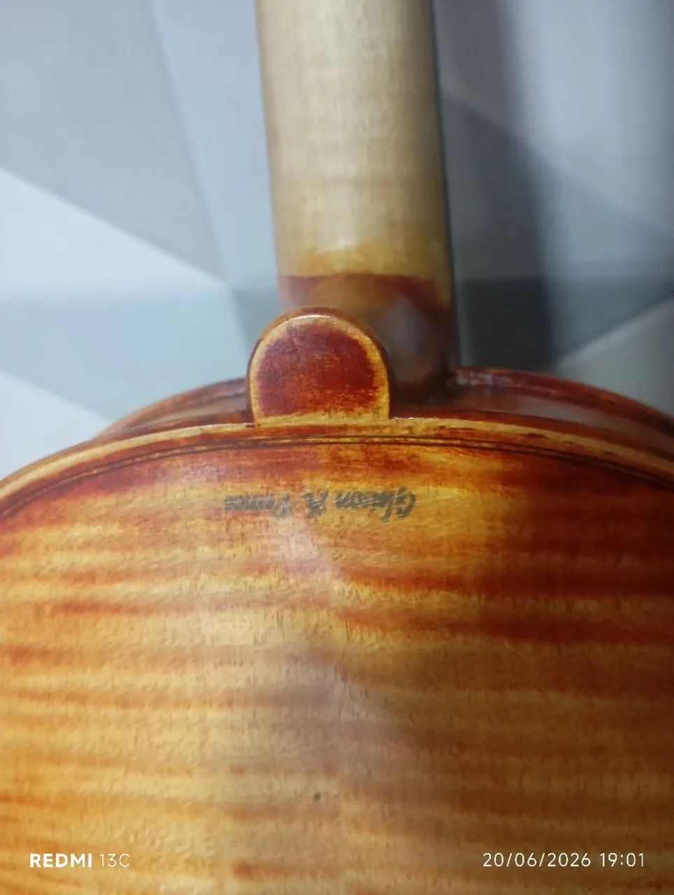 Violino