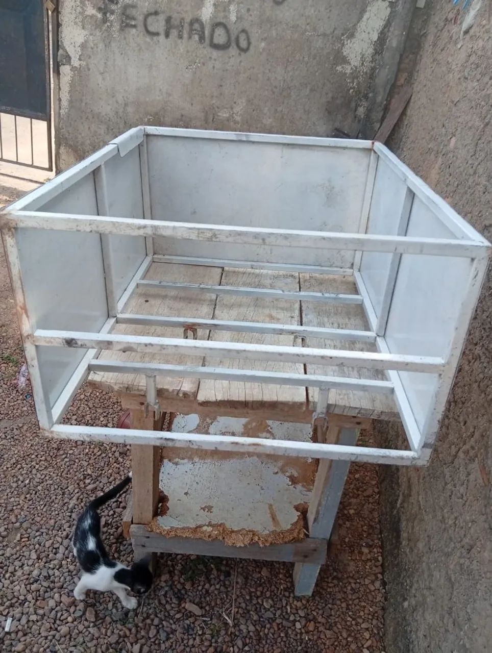 Expositor para lanches e salgados  - Foto 4