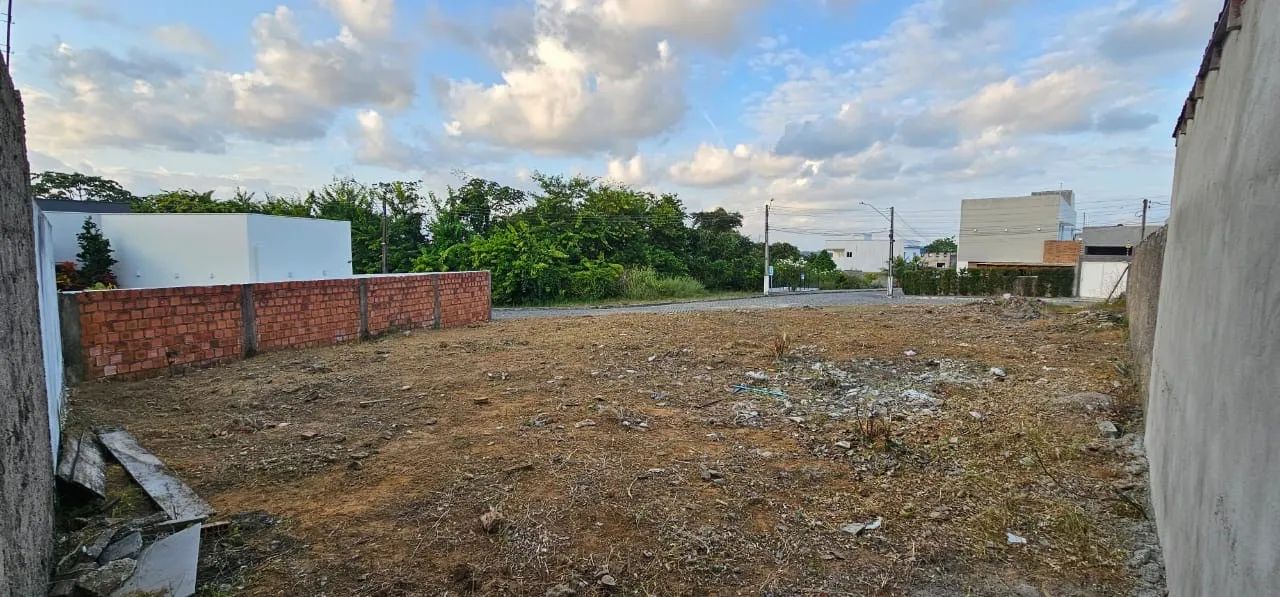 Terreno para Venda, Serraria - Foto 3