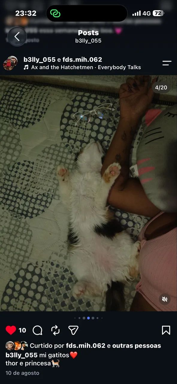 Gatos  - Foto 5