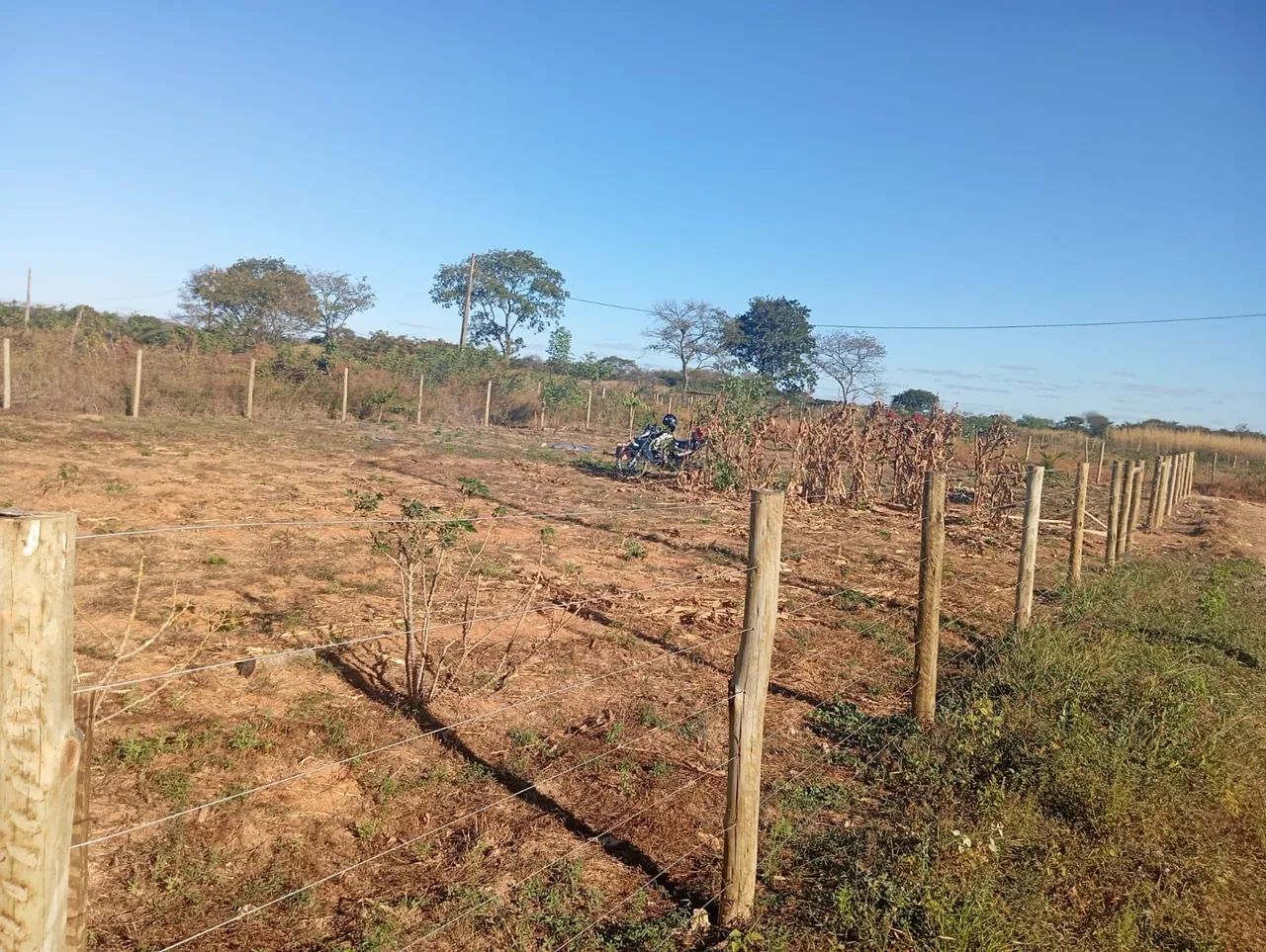 Granja - Foto 2