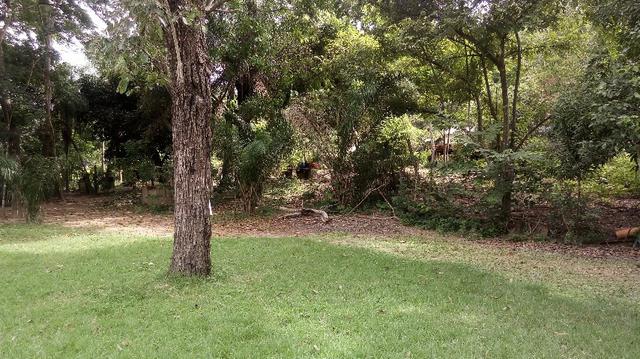 Chácara Estrada Velha da Guia Beira Rio Cuiaba - Foto 14