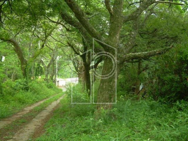 Terreno para alugar em Jardim santa teresa, Jundiai cod:L1687 - Foto 5