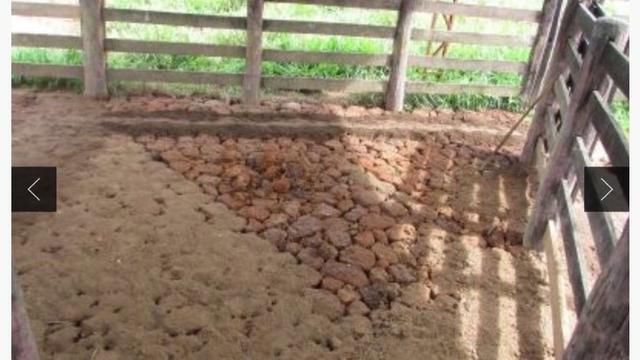 Sítio com estrutura de Fazenda - Foto 8