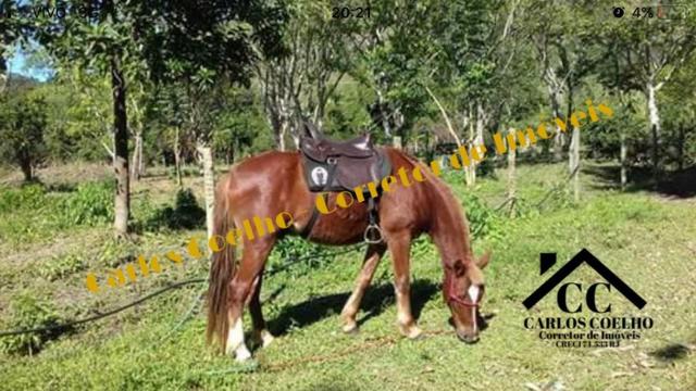 Jô - excelente oportunidade! - Foto 4