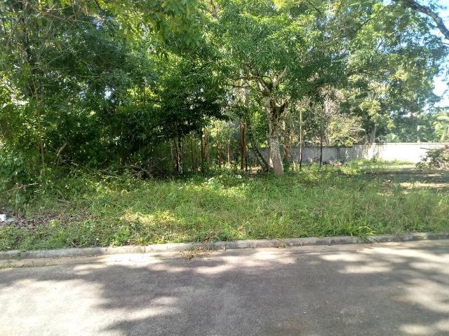 Residencial Naturaville - Lote L8 - Foto 16