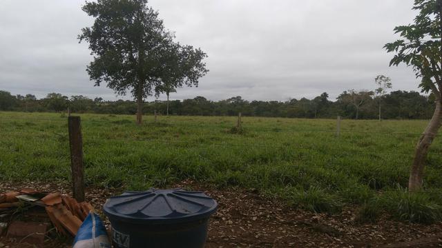Chácara Dois Alqueires Mirassol do Este MT - Foto 5