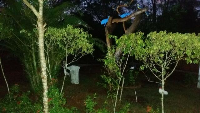 Recanto do Vale Verde - Foto 18
