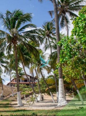 Casa na praia com 600 m² itapipoca/ce - Foto 17