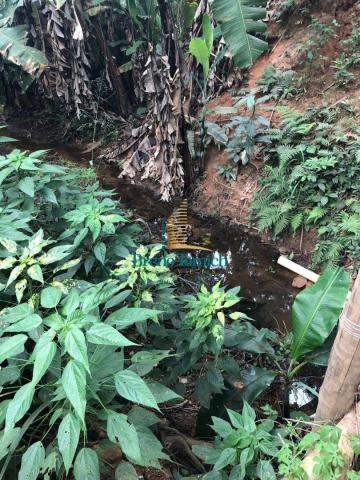 Chácara à venda, 4000 m² por r$ 120.000,00 - 20km de teófilo otoni - teófilo otoni/mg - Foto 4