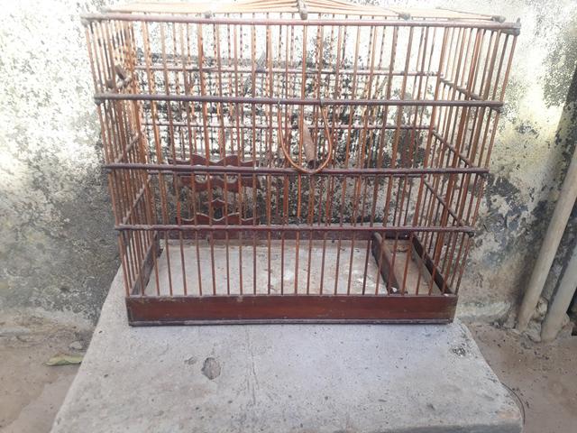 Gaiola pequena