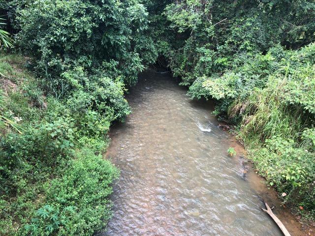 Fazenda em Bela Vista de Goiás de 15 Alqueires, à 45 km de Goiânia Dentro da Cidade - Foto 20
