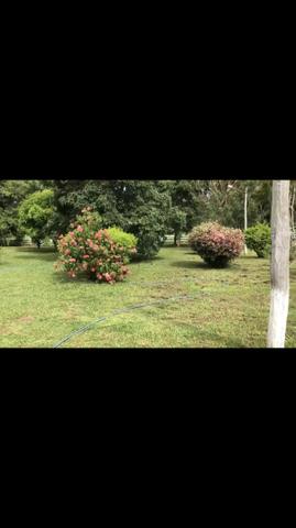 Fazenda em Rosário Oeste 1.460 hectares á venda - Foto 7