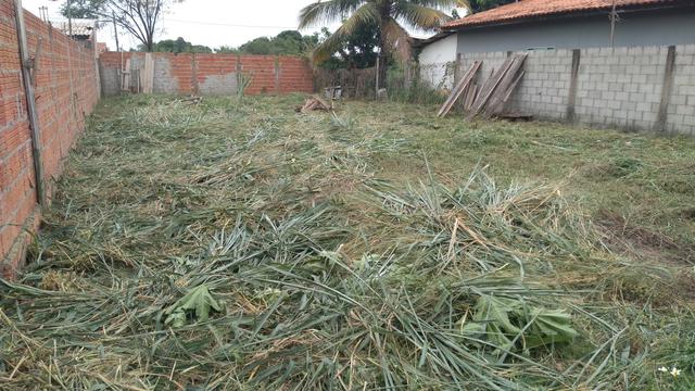 Venda de um terreno - Foto 6