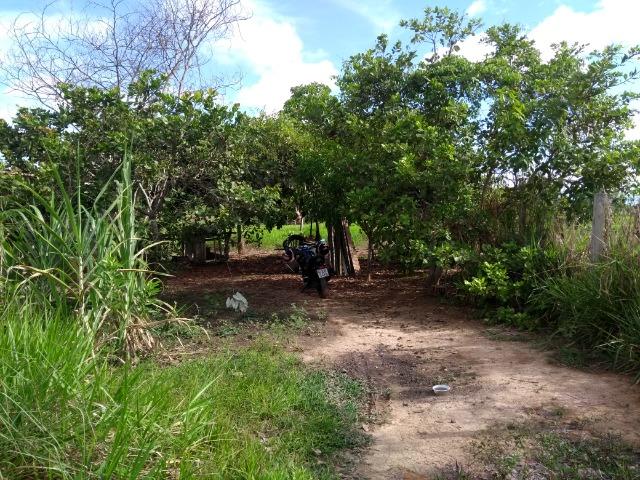 Chácara - Foto 5
