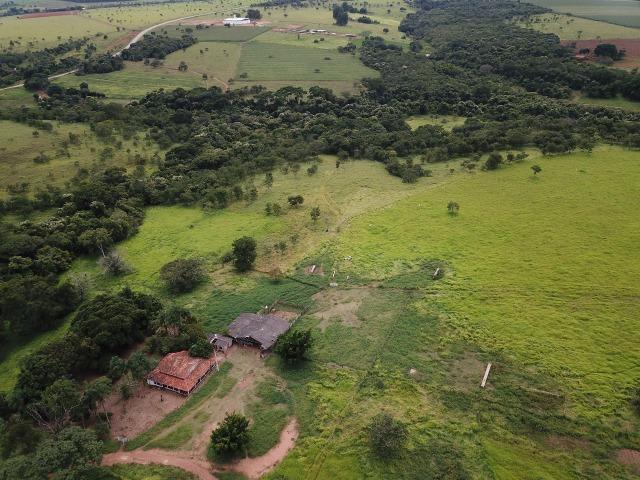 Fazenda em Bela Vista de Goiás de 15 Alqueires, à 45 km de Goiânia Dentro da Cidade - Foto 9