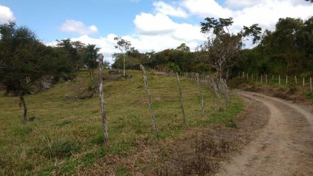 Fazenda Com 49.7 Hectares a 8 km do Centro da Cidade-Gravatá-PE - Foto 6