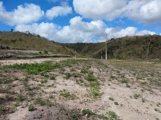 Sitio com 3 hectares Por Trás do Hotel highlander em Gravatá-PE - Foto 11