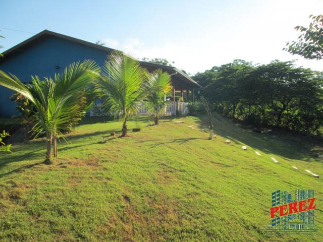 Chácara para alugar em Limoeiro, Londrina cod:13650.5347 - Foto 19