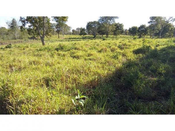 Chácara à venda em Zona rural, Pocone cod:20534 - Foto 11