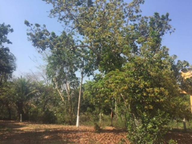 Chácara à venda em Bom sucesso, Varzea grande cod:20593 - Foto 8