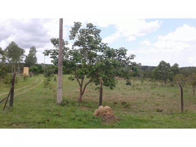 Chácara à venda em Zona rural, Cuiaba cod:21259 - Foto 6