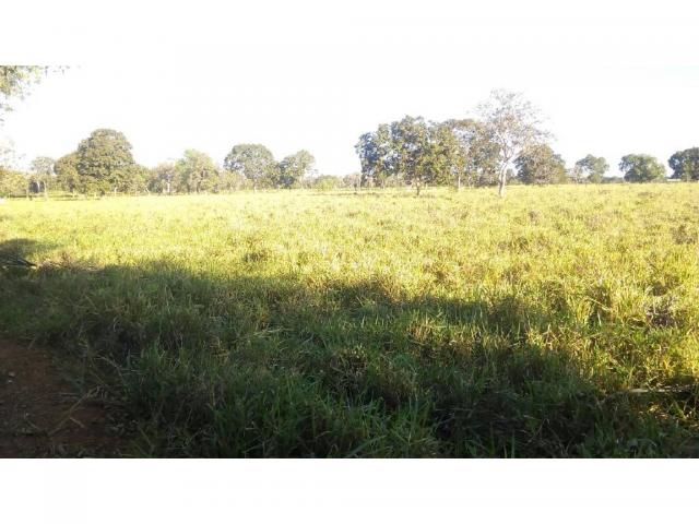 Chácara à venda em Zona rural, Pocone cod:20534 - Foto 10