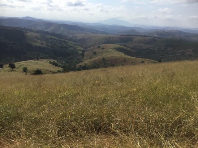 Fazenda 455.96 hectares - Governador Valadares/MG - Foto 9