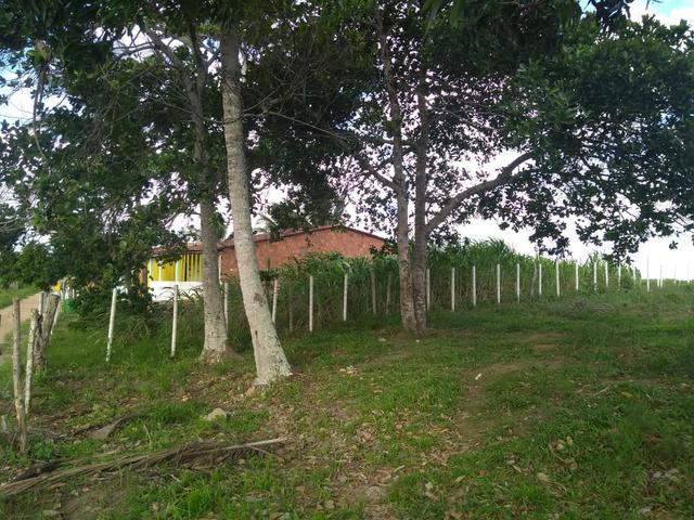 Terreno Em Pedra Branca - Foto 7