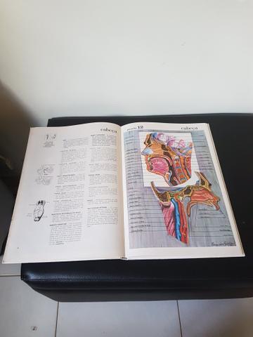 Grande Atlas de Anatomia Humana - Foto 2