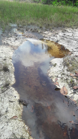 Terrenos para chácara antes de terra alta na PA 136 - Foto 3