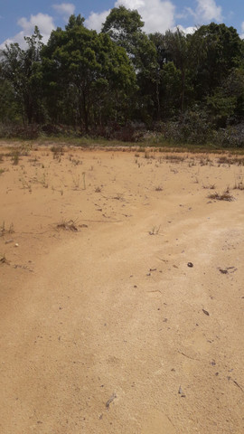 Terrenos para chácara antes de terra alta na PA 136 - Foto 6