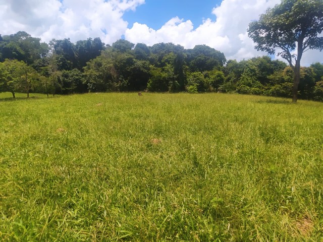 Vende-se chácara de 06 alqueires em Itauçu-Go  - Foto 4