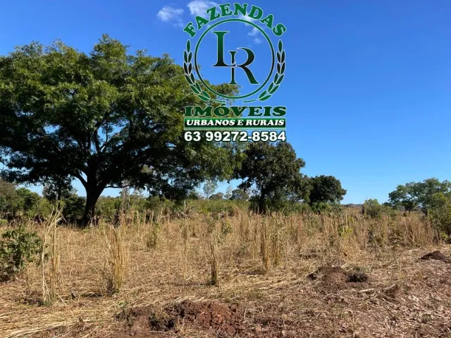 Fazenda 46 Alqueires Próximo Palmas