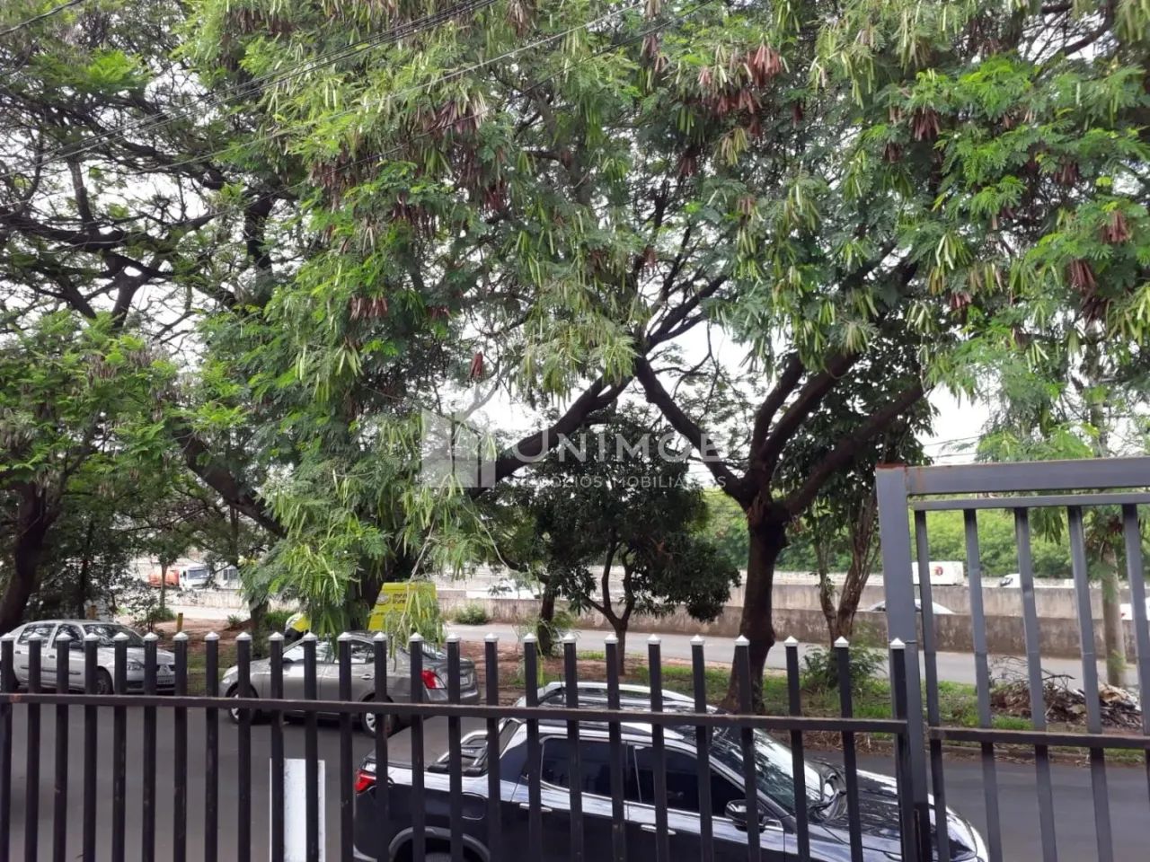 galpão - Jardim Aurélia - Campinas - Foto 2