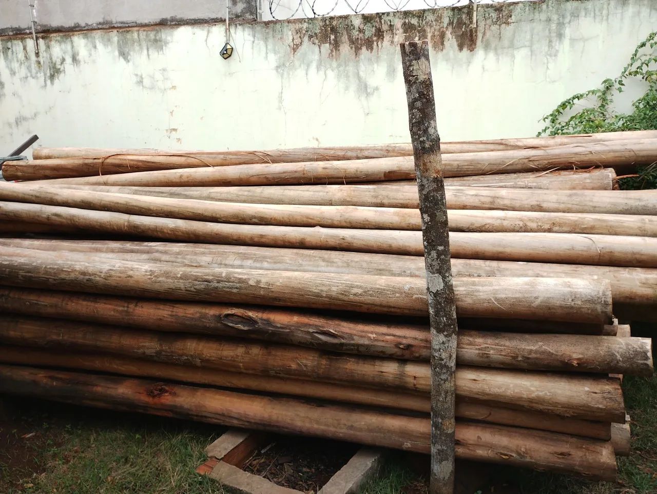 Eucalyptus Wood Posts64840817835137121