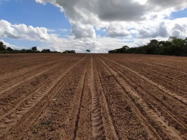 VENDO SITIO DE 5,45 HECTARE DE TERRA