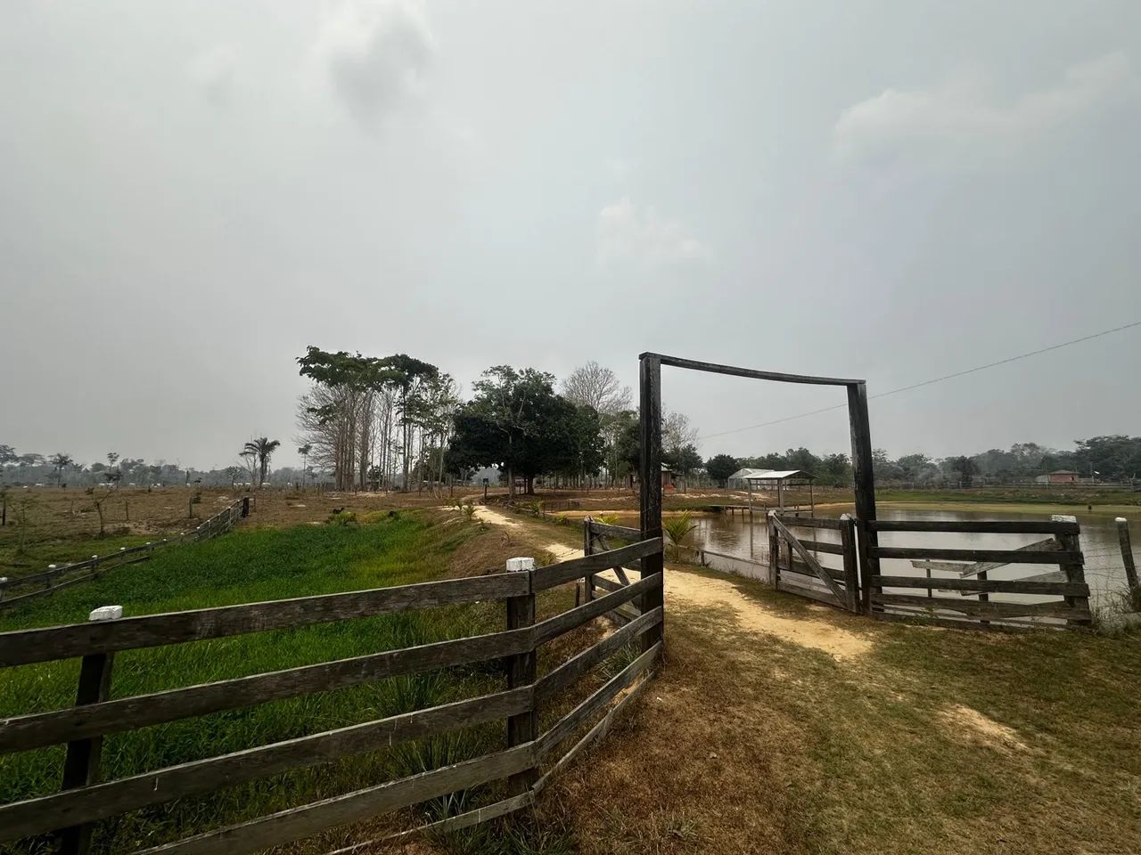  Vendo uma colônia de 15 hectares, no ramal da alcobras no km15  - Foto 3