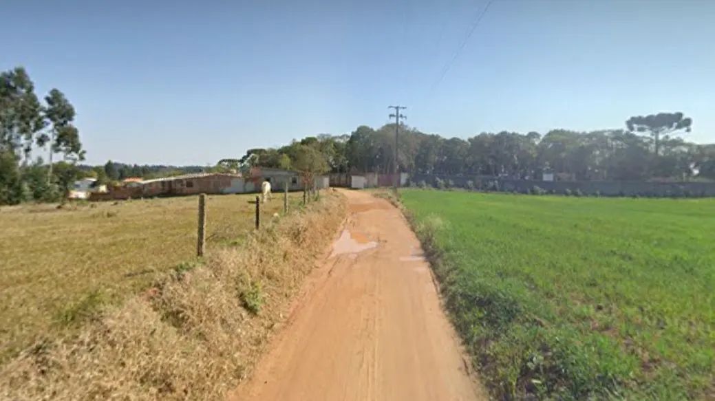 foto - Fazenda Rio Grande - Gralha Azul