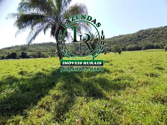 Fazenda / chácara 21,8 Alqueires  Próximo a Palmas-To